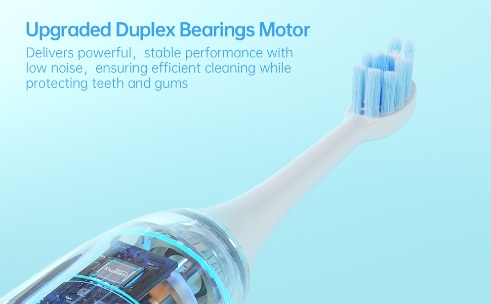 Oscillation / Vibration Toothbrush